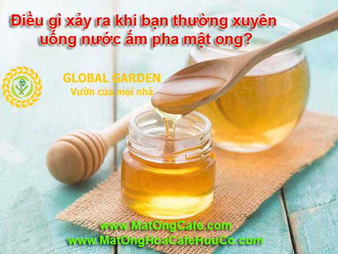 Điều gì xảy ra khi bạn thường xuyên uống nước ấm pha mật ong?